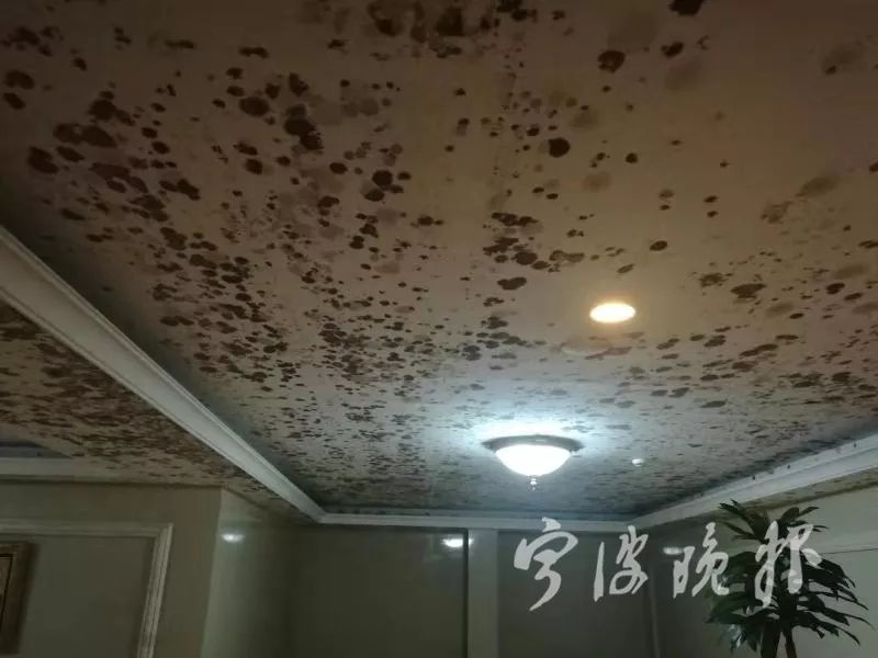 常见问题回南天气梅雨季墙面受潮发霉用除湿机好吗？