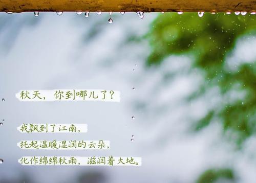 常见问题“无晴”阴雨天 “有晴”除湿机