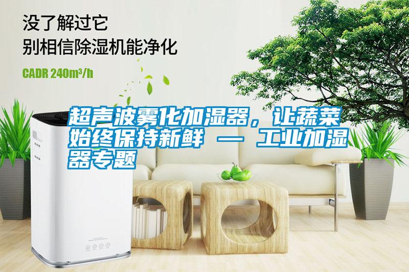 超声波雾化加湿器，让蔬菜始终保持新鲜 — 万向娱乐加湿器专题