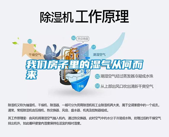 万向娱乐房子里的湿气从何而来