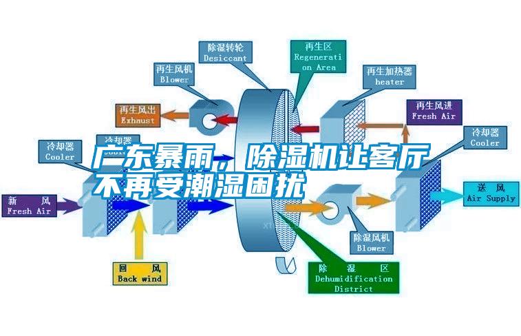 广东暴雨，除湿机让客厅不再受潮湿困扰