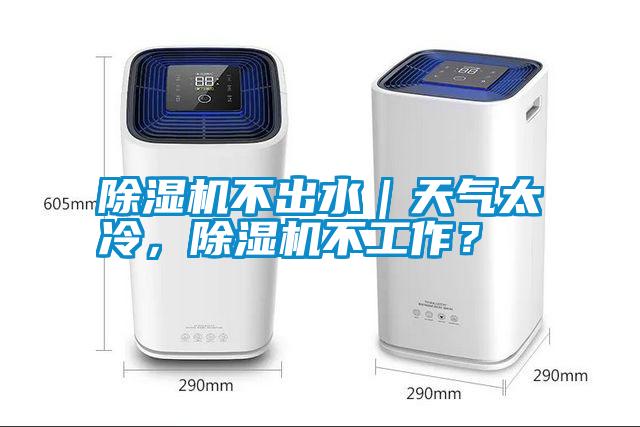 除湿机不出水｜天气太冷，除湿机不工作？