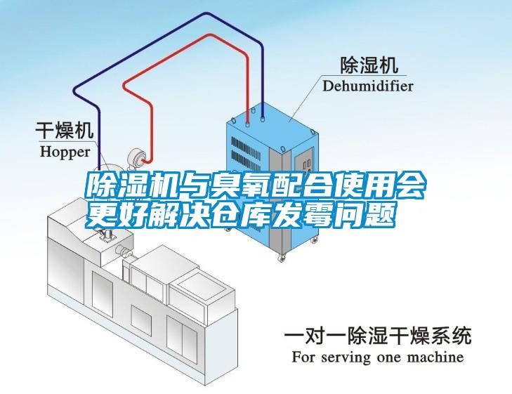 除湿机与臭氧配合使用会更好解决仓库发霉问题