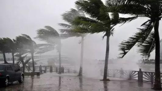 8月台风雨即将来，除湿机还得用起来