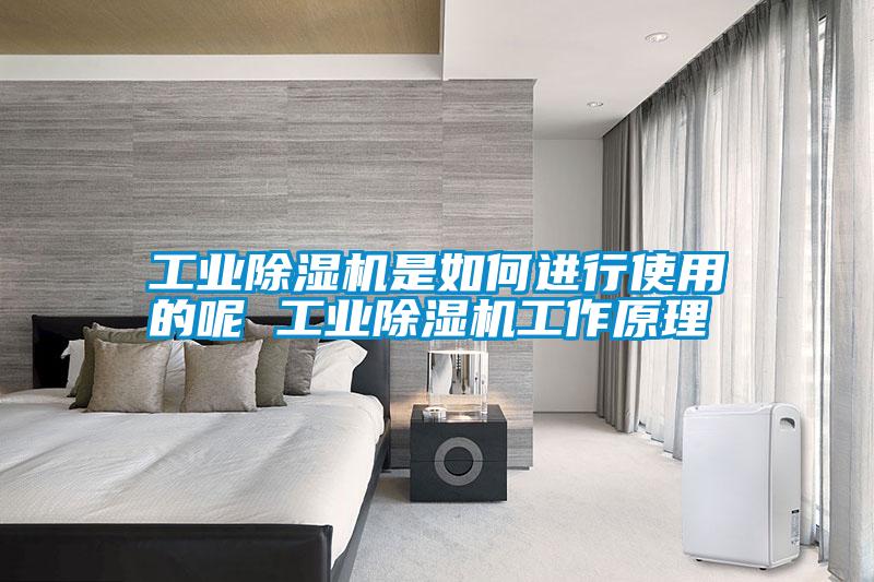 万向娱乐除湿机是如何进行使用的呢 万向娱乐除湿机工作原理