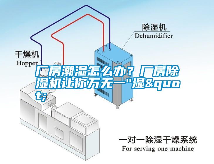 厂房潮湿怎么办？厂房除湿机让你万无一''湿"