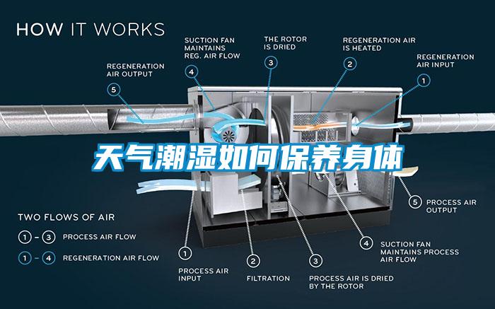 天气潮湿如何保养身体