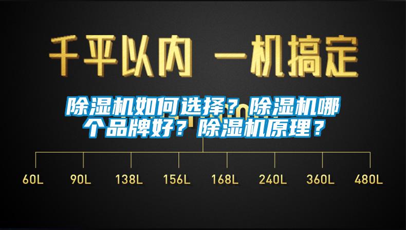 除湿机如何选择？除湿机哪个品牌好？除湿机原理？