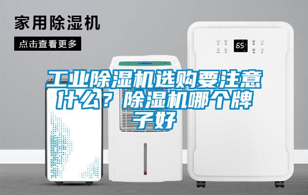 万向娱乐除湿机选购要注意什么？除湿机哪个牌子好