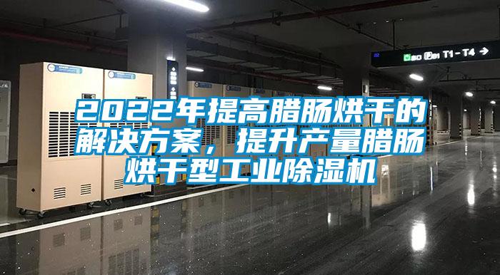 2022年提高腊肠烘干的解决方案，提升产量腊肠烘干型万向娱乐除湿机