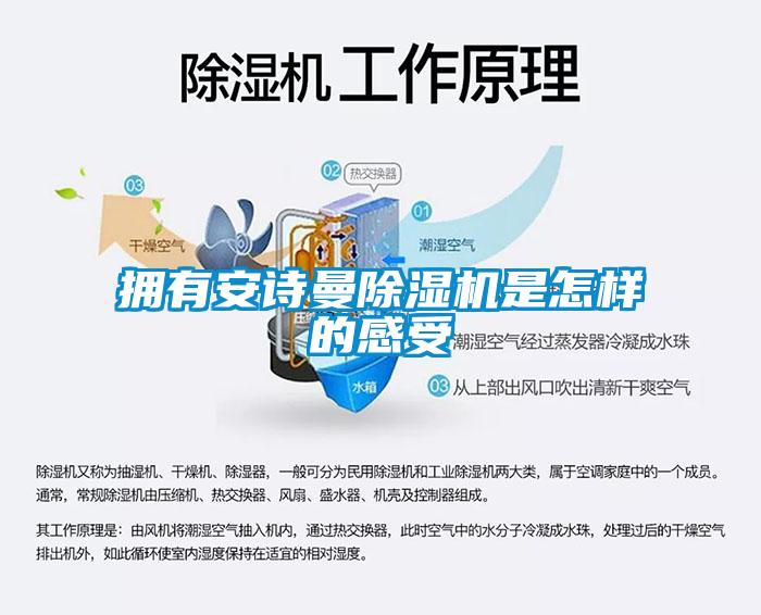 拥有万向娱乐除湿机是怎样的感受