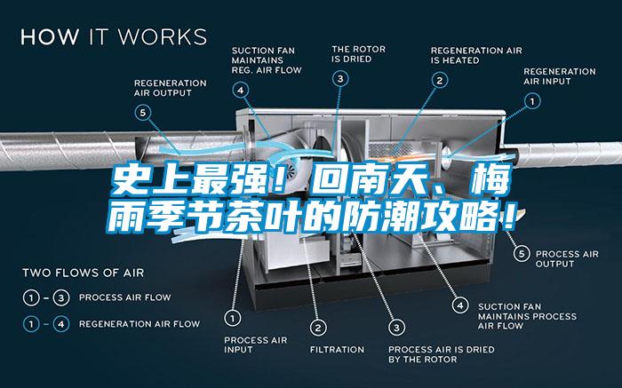 史上最强！回南天、梅雨季节茶叶的防潮攻略！