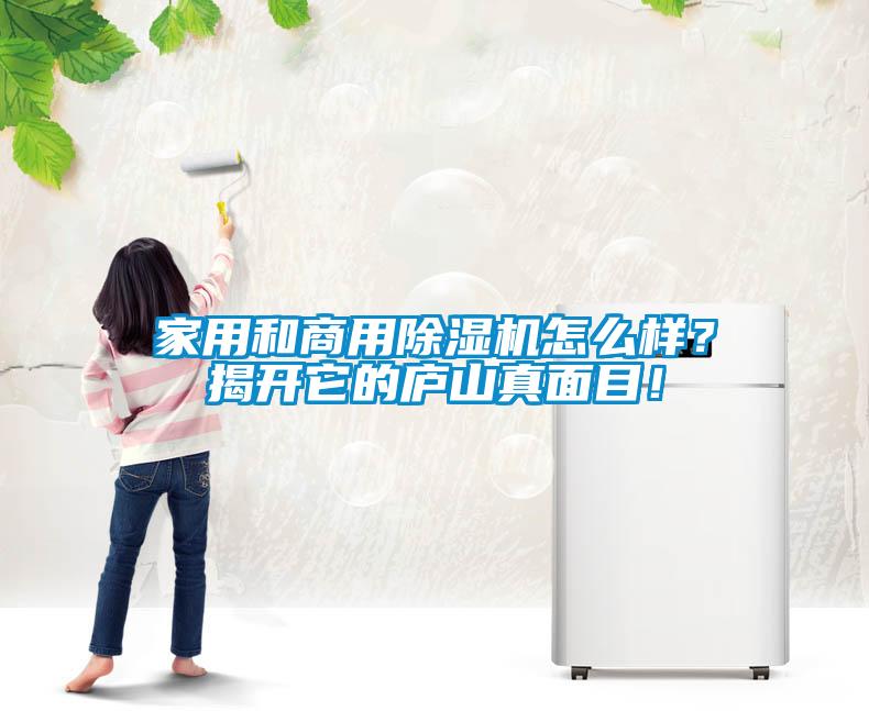 家用和商用除湿机怎么样？揭开它的庐山真面目！