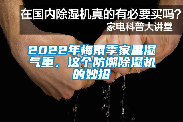 2022年梅雨季家里湿气重，这个防潮除湿机的妙招