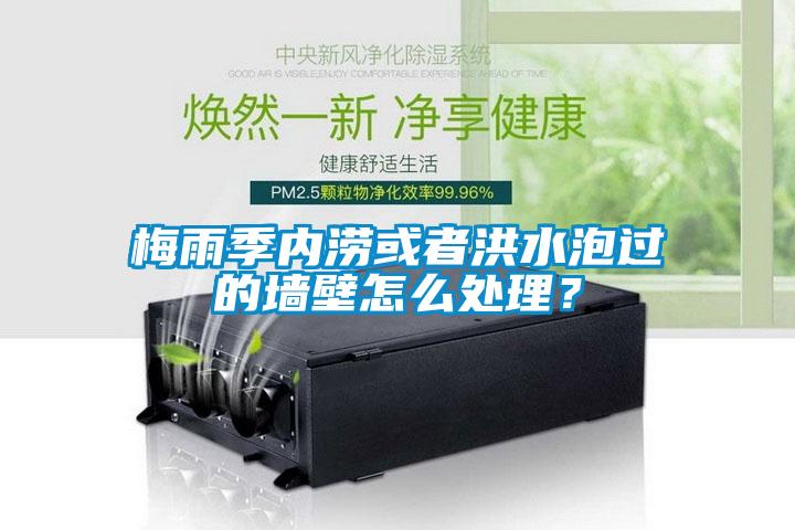 梅雨季内涝或者洪水泡过的墙壁怎么处理？