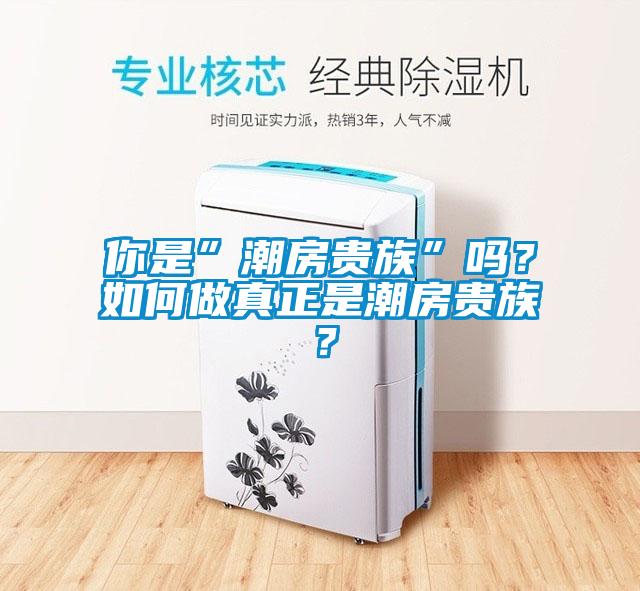 你是”潮房贵族”吗？如何做真正是潮房贵族？