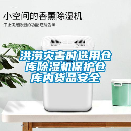 洪涝灾害时选用仓库除湿机保护仓库内货品安全