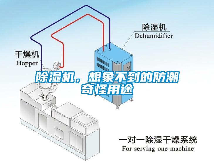 除湿机，想象不到的防潮奇怪用途