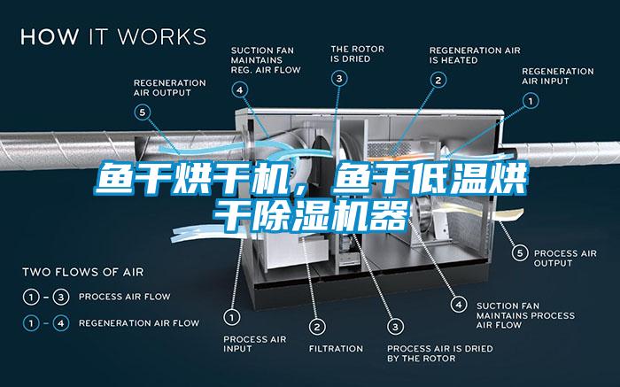 鱼干烘干机，鱼干低温烘干除湿机器