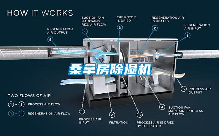 桑拿房除湿机