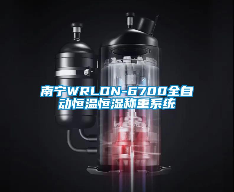 南宁WRLDN-6700全自动恒温恒湿称重系统