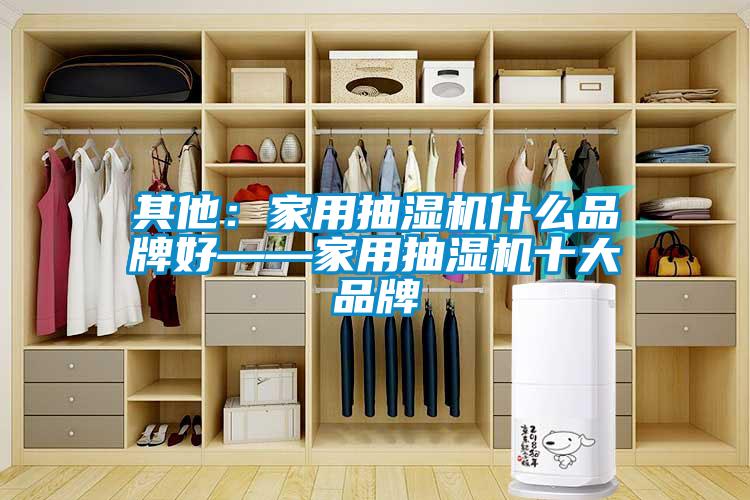 其他：家用抽湿机什么品牌好——家用抽湿机十大品牌