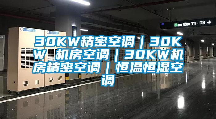 30KW精密空调｜30KW 机房空调｜30KW机房精密空调｜恒温恒湿空调