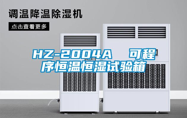 HZ-2004A  可程序恒温恒湿试验箱