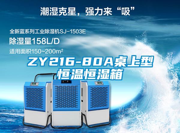 ZY216-80A桌上型恒温恒湿箱