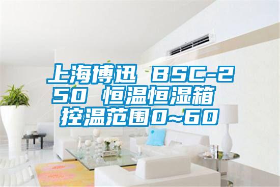 上海博迅 BSC-250 恒温恒湿箱 控温范围0~60℃