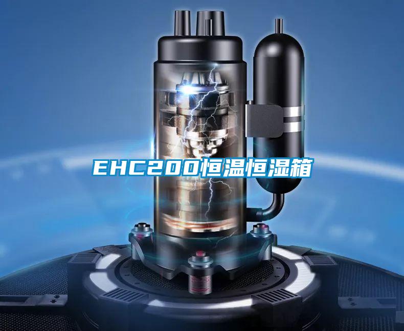 EHC200恒温恒湿箱