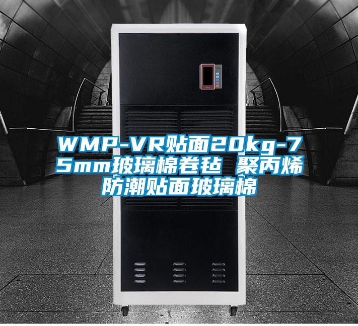 WMP-VR贴面20kg-75mm玻璃棉卷毡 聚丙烯防潮贴面玻璃棉