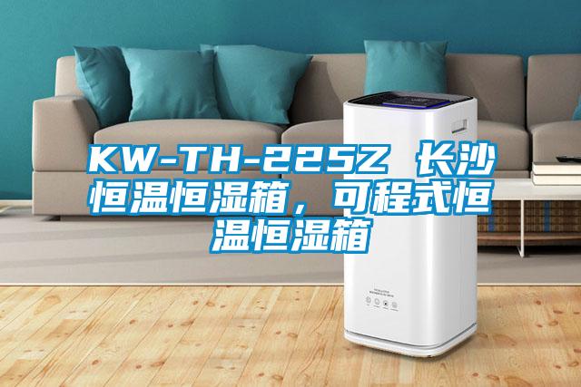 KW-TH-225Z 长沙恒温恒湿箱，可程式恒温恒湿箱