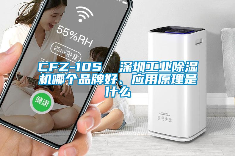 CFZ-10S  东莞万向娱乐除湿机哪个品牌好、应用原理是什么