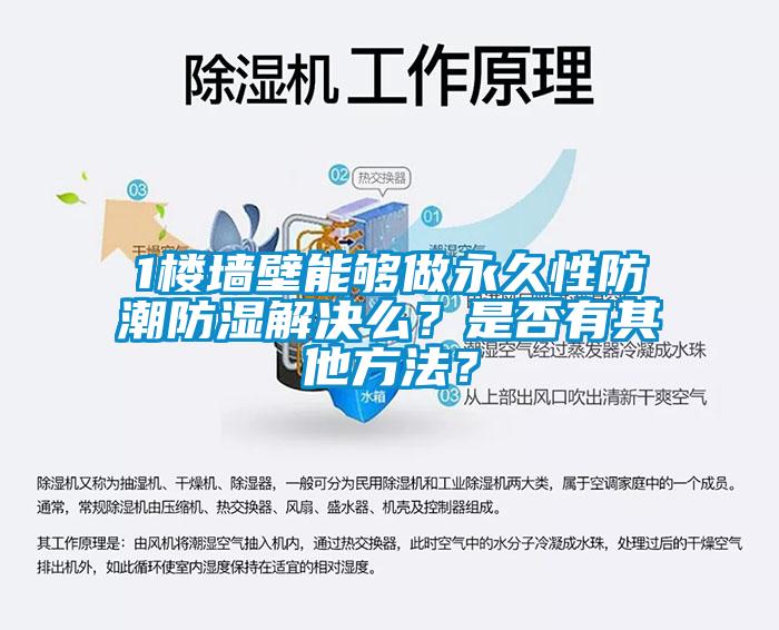 1楼墙壁能够做永久性防潮防湿解决么？是否有其他方法？