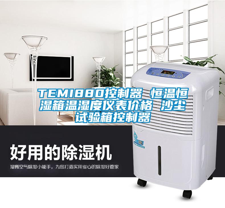 TEMI880控制器 恒温恒湿箱温湿度仪表价格 沙尘试验箱控制器