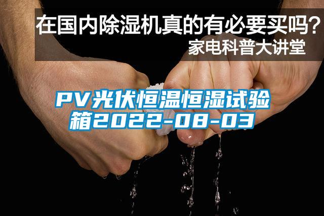 PV光伏恒温恒湿试验箱2022-08-03