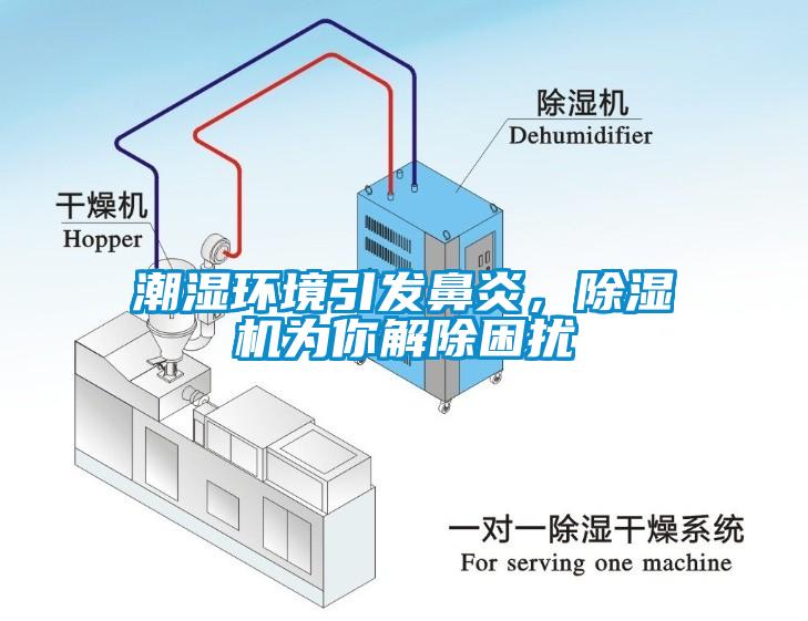 潮湿环境引发鼻炎，除湿机为你解除困扰