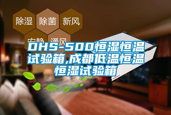 DHS-500恒湿恒温试验箱,成都低温恒温恒湿试验箱