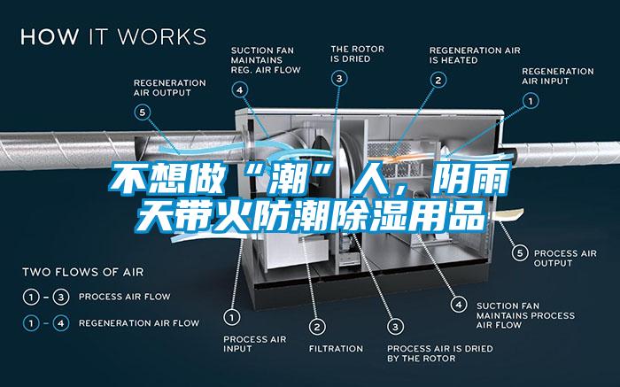 不想做“潮”人，阴雨天带火防潮除湿用品