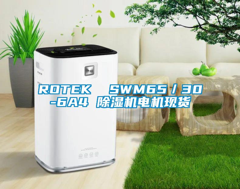 ROTEK  SWM65／30-6A4 除湿机电机现货