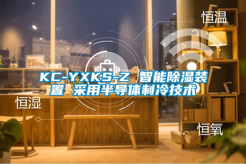 KC-YXKS-Z 智能除湿装置 采用半导体制冷技术