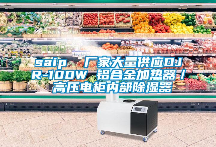 saip  厂家大量供应DJR-100W 铝合金加热器／ 高压电柜内部除湿器