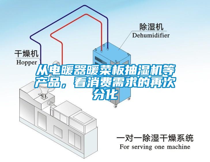 从电暖器暖菜板抽湿机等产品，看消费需求的再次分化