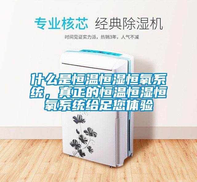 什么是恒温恒湿恒氧系统，真正的恒温恒湿恒氧系统给足您体验