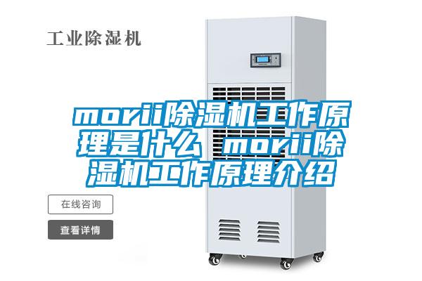 morii除湿机工作原理是什么 morii除湿机工作原理介绍