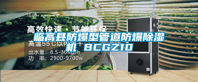 临高县防爆型管道防爆除湿机 BCGZ10