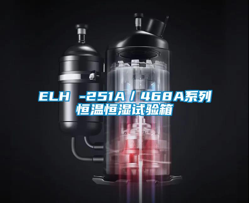 ELH -251A／468A系列恒温恒湿试验箱