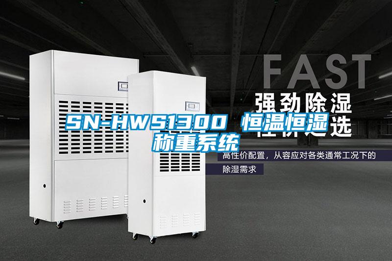 SN-HWS1300 恒温恒湿称重系统