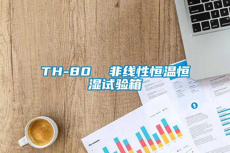 TH-80  非线性恒温恒湿试验箱